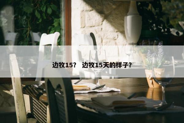 边牧15？ 边牧15天的样子？