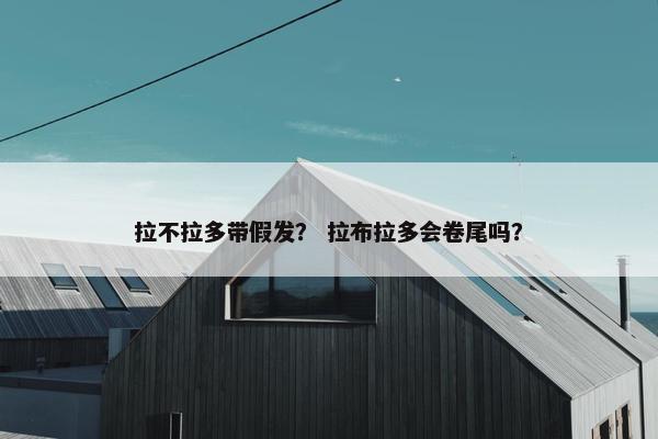 拉不拉多带假发？ 拉布拉多会卷尾吗？