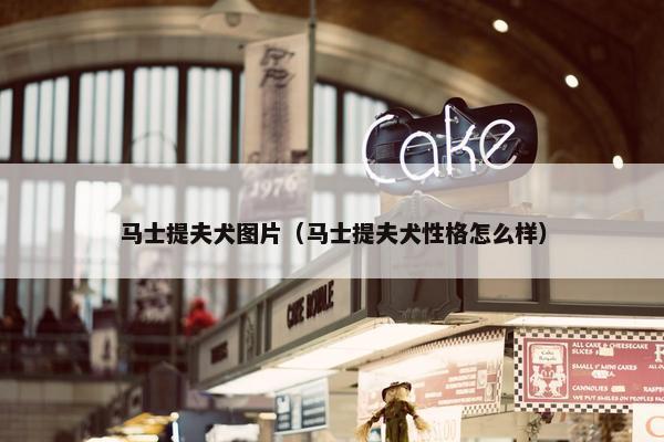 马士提夫犬图片（马士提夫犬性格怎么样）