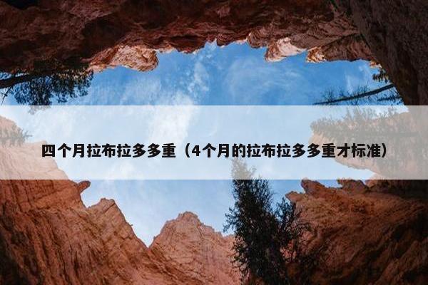 四个月拉布拉多多重（4个月的拉布拉多多重才标准）