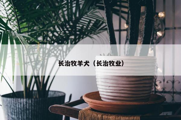 长治牧羊犬（长治牧业）