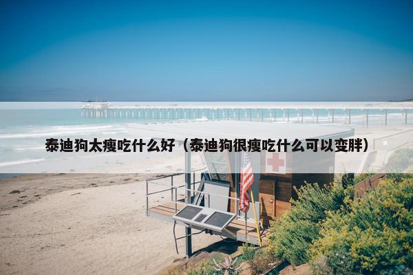 泰迪狗太瘦吃什么好（泰迪狗很瘦吃什么可以变胖）