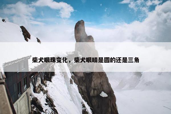 柴犬眼珠变化，柴犬眼睛是圆的还是三角