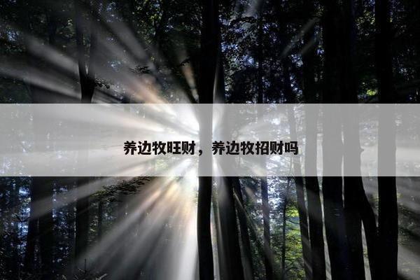 养边牧旺财，养边牧招财吗