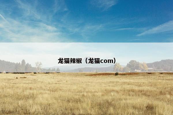 龙猫辣椒（龙猫com）