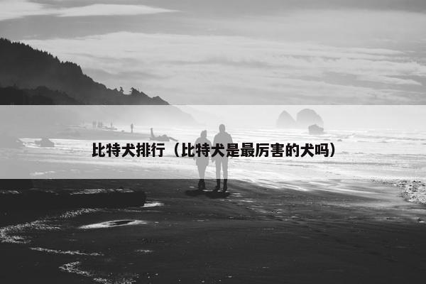 比特犬排行（比特犬是最厉害的犬吗）