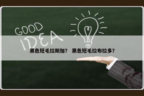 黑色短毛拉斯加？ 黑色短毛拉布拉多？
