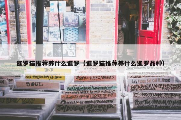 暹罗猫推荐养什么暹罗（暹罗猫推荐养什么暹罗品种）