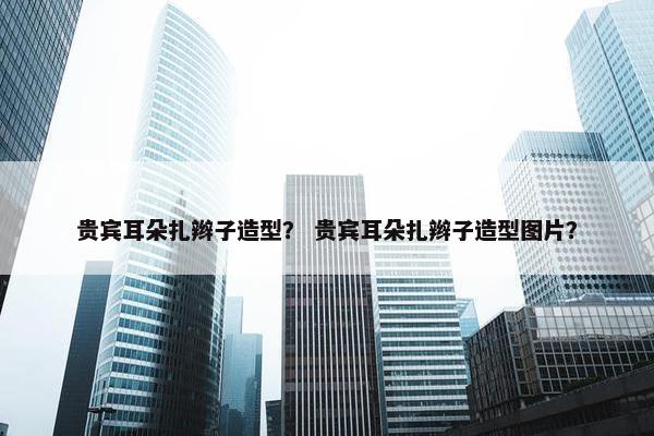 贵宾耳朵扎辫子造型？ 贵宾耳朵扎辫子造型图片？