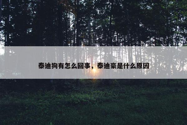 泰迪狗有怎么回事，泰迪豪是什么原因