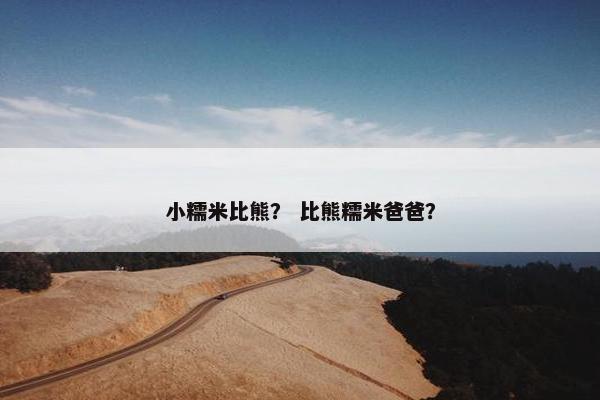 小糯米比熊？ 比熊糯米爸爸？