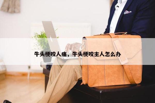 牛头梗咬人痛，牛头梗咬主人怎么办