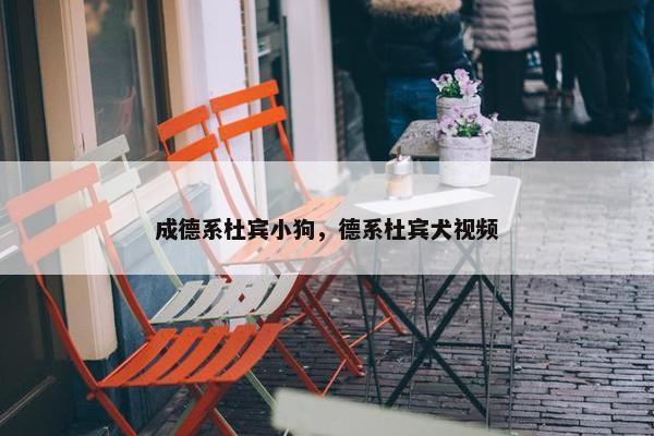 成德系杜宾小狗，德系杜宾犬视频