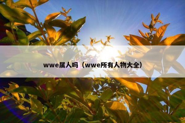 wwe属人吗（wwe所有人物大全）