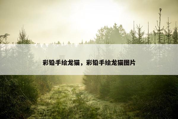 彩铅手绘龙猫，彩铅手绘龙猫图片