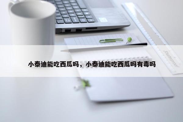 小泰迪能吃西瓜吗，小泰迪能吃西瓜吗有毒吗