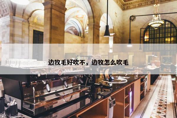 边牧毛好吹不，边牧怎么吹毛