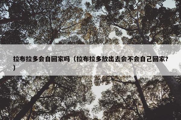 拉布拉多会自回家吗（拉布拉多放出去会不会自己回家?）