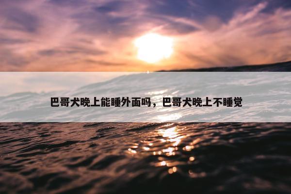 巴哥犬晚上能睡外面吗，巴哥犬晚上不睡觉