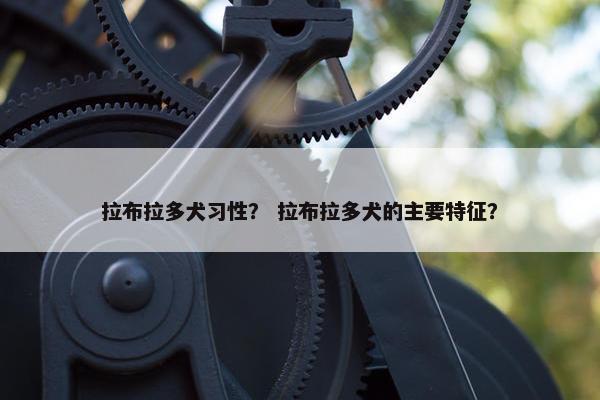 拉布拉多犬习性？ 拉布拉多犬的主要特征？