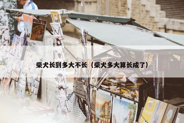 柴犬长到多大不长（柴犬多大算长成了）