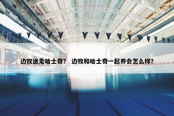 边牧送走哈士奇？ 边牧和哈士奇一起养会怎么样？
