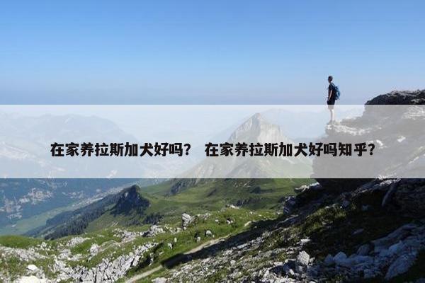 在家养拉斯加犬好吗？ 在家养拉斯加犬好吗知乎？