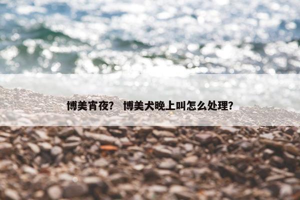 博美宵夜？ 博美犬晚上叫怎么处理？
