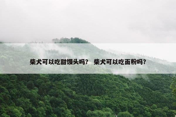柴犬可以吃甜馒头吗？ 柴犬可以吃面粉吗？