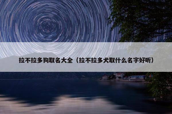 拉不拉多狗取名大全（拉不拉多犬取什么名字好听）