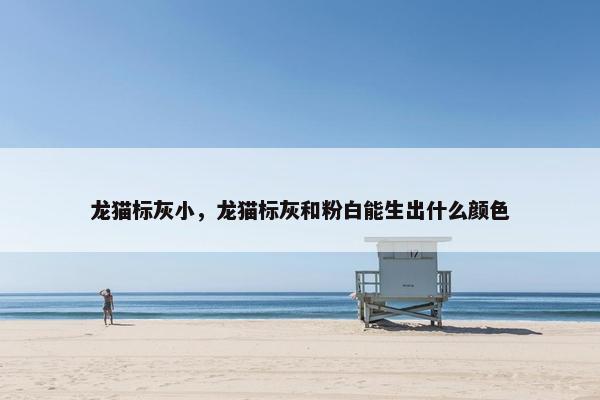 龙猫标灰小，龙猫标灰和粉白能生出什么颜色