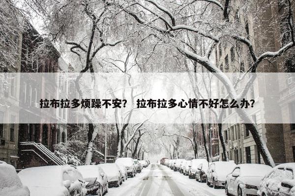 拉布拉多烦躁不安？ 拉布拉多心情不好怎么办？