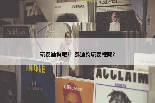 玩泰迪狗吧？ 泰迪狗玩耍视频？