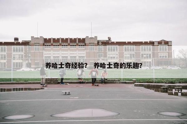 养哈士奇经验？ 养哈士奇的乐趣？