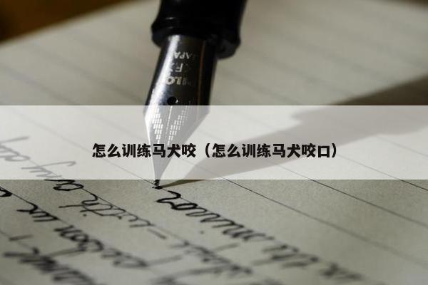 怎么训练马犬咬（怎么训练马犬咬口）