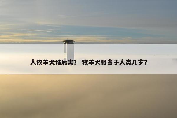 人牧羊犬谁厉害？ 牧羊犬相当于人类几岁？