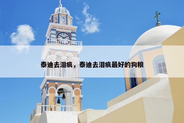 泰迪去泪痕，泰迪去泪痕最好的狗粮