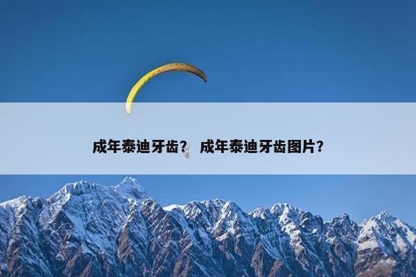 成年泰迪牙齿？ 成年泰迪牙齿图片？