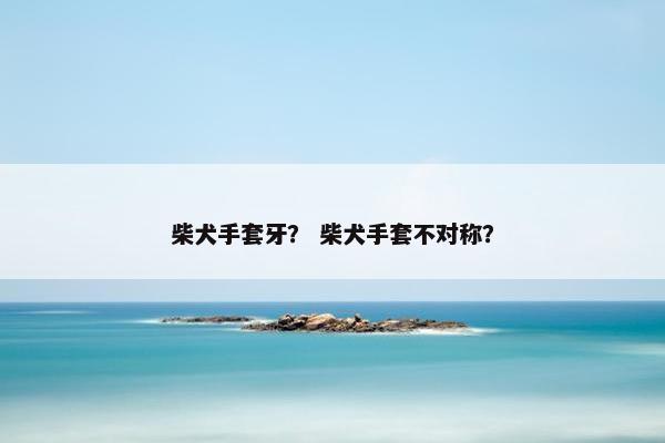 柴犬手套牙？ 柴犬手套不对称？