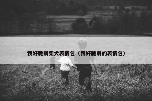 我好脆弱柴犬表情包（我好脆弱的表情包）
