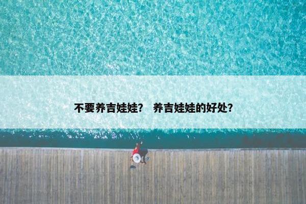 不要养吉娃娃？ 养吉娃娃的好处？