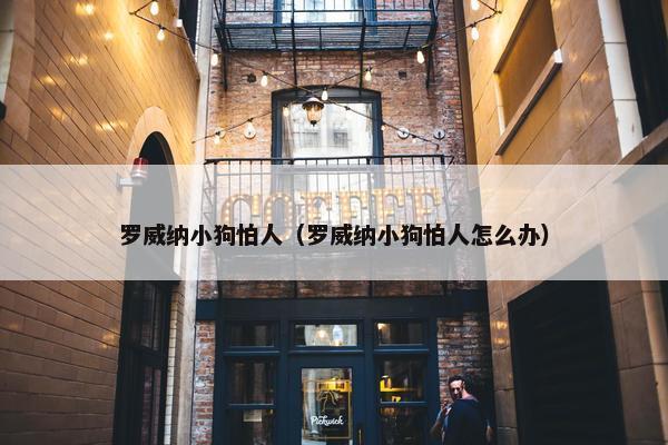 罗威纳小狗怕人（罗威纳小狗怕人怎么办）