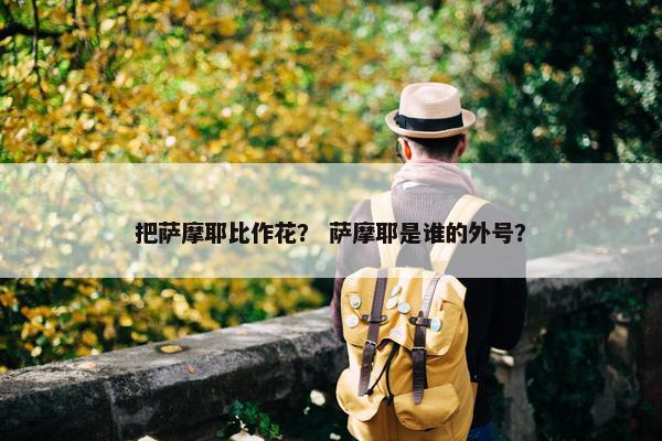 把萨摩耶比作花？ 萨摩耶是谁的外号？