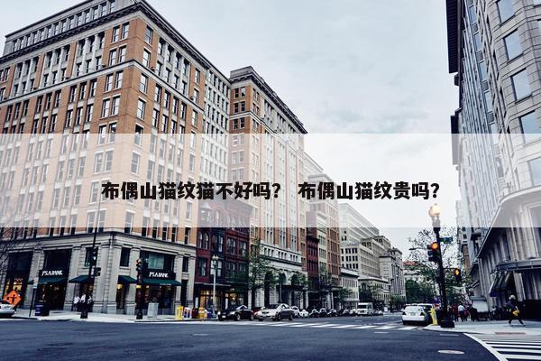 布偶山猫纹猫不好吗？ 布偶山猫纹贵吗？