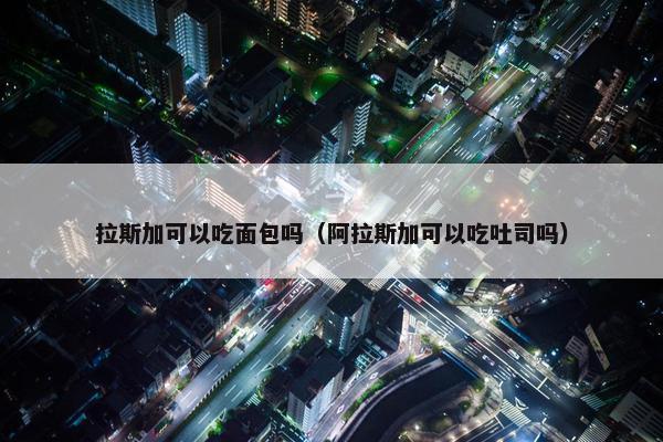 拉斯加可以吃面包吗（阿拉斯加可以吃吐司吗）