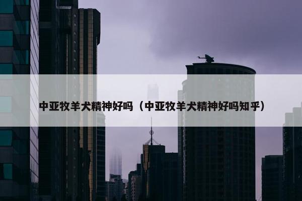 中亚牧羊犬精神好吗（中亚牧羊犬精神好吗知乎）
