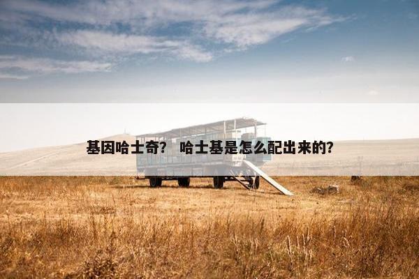 基因哈士奇？ 哈士基是怎么配出来的？