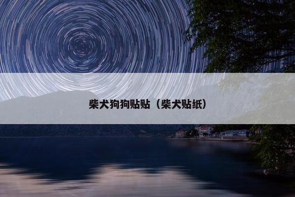 柴犬狗狗贴贴（柴犬贴纸）