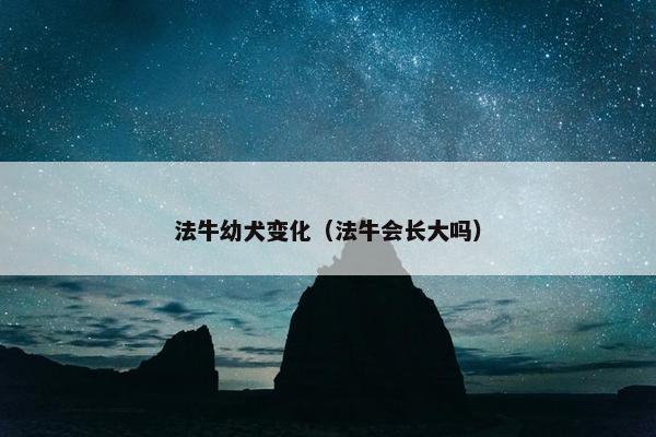法牛幼犬变化（法牛会长大吗）