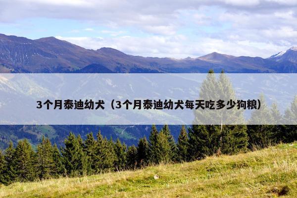3个月泰迪幼犬（3个月泰迪幼犬每天吃多少狗粮）